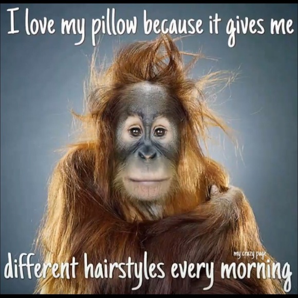 Meet your Posher, Teresa - Picture 1 of 1